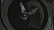 Black Rabbit credit symbol | Image via Netflix
